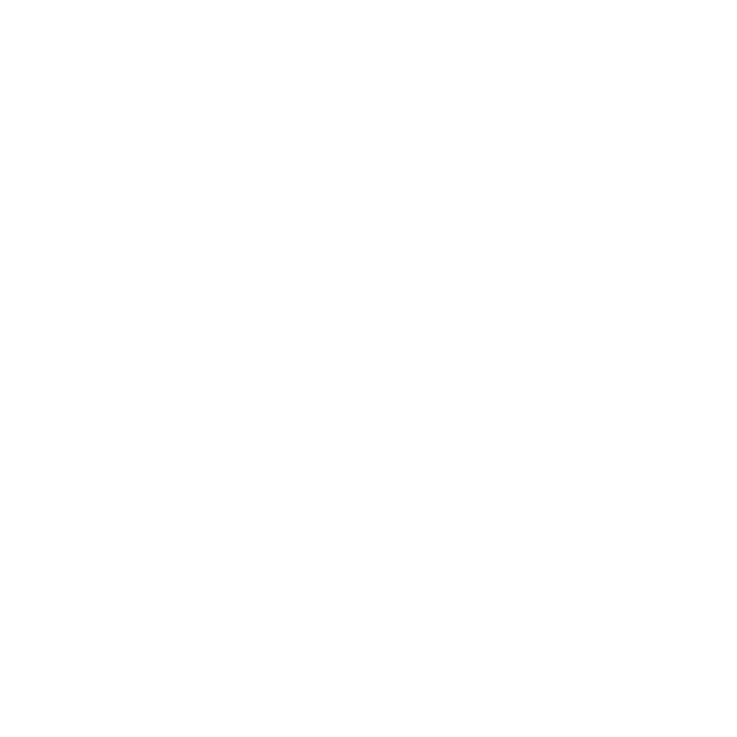 AuroraTravel IATA tag