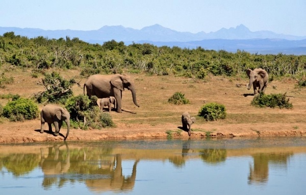 AZ IGAZI DÉL-AFRIKA - VIKTÓRIA-VÍZESÉS ÉS A CHOBE NEMZETI PARK ***