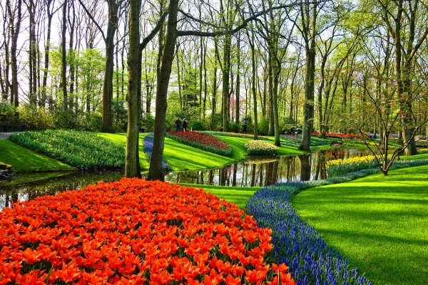 Hollandia Tulipánvirágzáskor