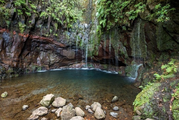 MADEIRA REPÜLŐVEL - Az Atlanti-óceán úszó Virágos Kertje ****